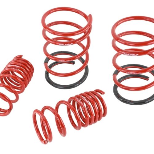 Alternative view of Skunk2 01-05 Honda Civic Lowering Springs (2.25in - 2.00in.) (Set of 4)
