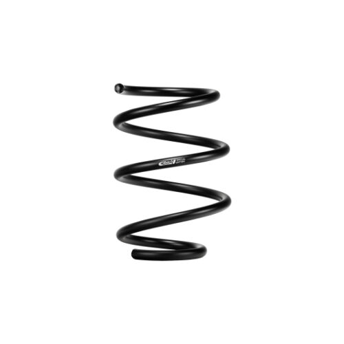 Eibach Cadillac CT5-V Blackwing - Special Edition Pro-Kit - Image 3