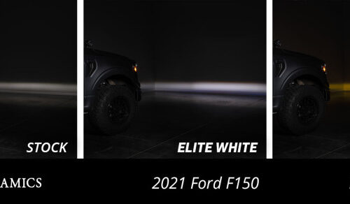Diode Dynamics 21-23 Ford F-150 Elite Fog Lamps - White