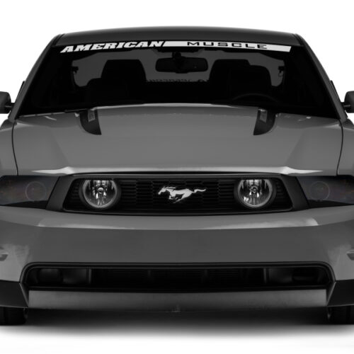 Raxiom for 2005-2012 Ford Mustang GT LED Halo Fog Lights (Chrome) - Image 10