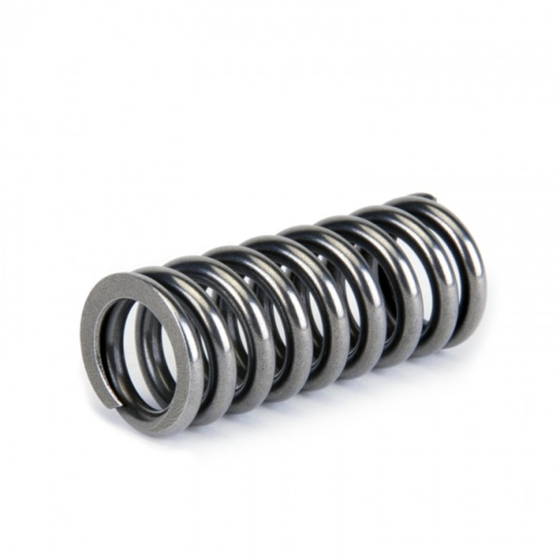 Skunk2 Alpha Series Honda D Series VTEC Valve Spring Set - Image 6