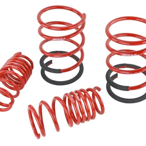 Alternative view of Skunk2 02-04 Acura RSX Lowering Springs (2.25in - 2.00in.) (Set of 4)