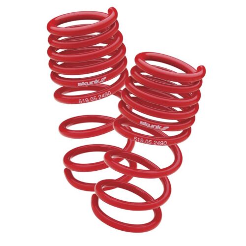 Skunk2 06-11 Honda Civic Lowering Springs (2.25in - 2.00in.) (Set of 4) - Image 9
