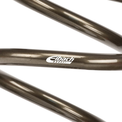 Alternative view of Eibach PF0950.500.0550 Platinum Series Dirt Modified Front Springs 9.5in L 3.82in ID 5in OD 550 LB